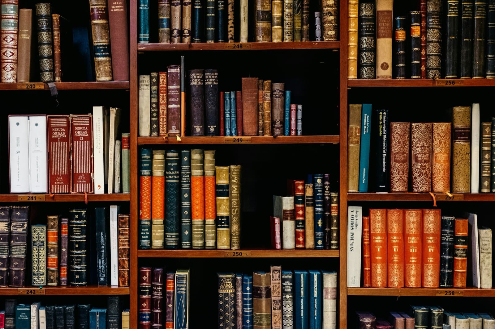 Estantes de livros encadernados organizados